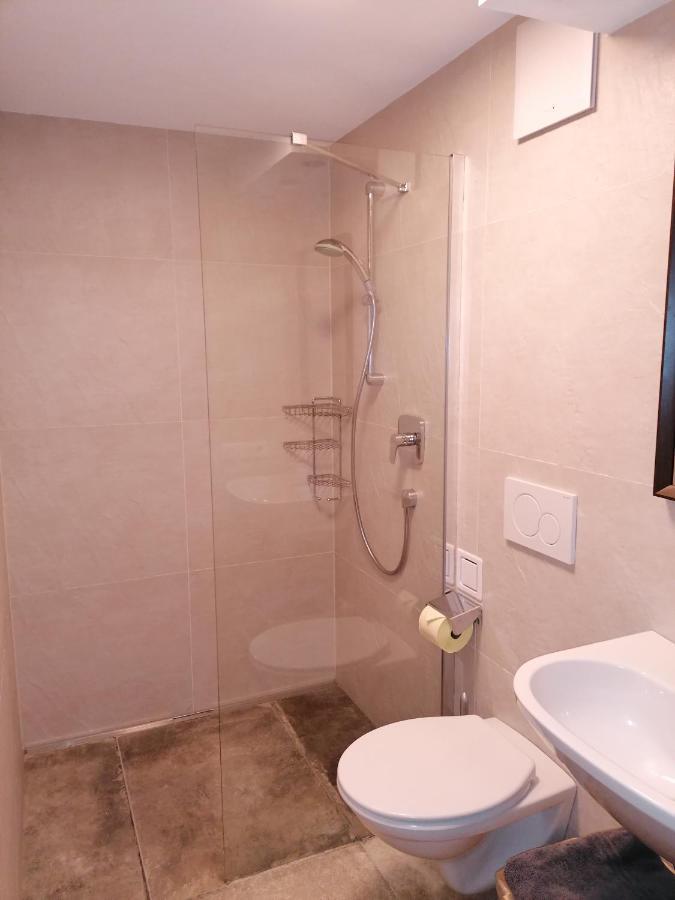 Zachhof Apartment Ellbögen Екстериор снимка