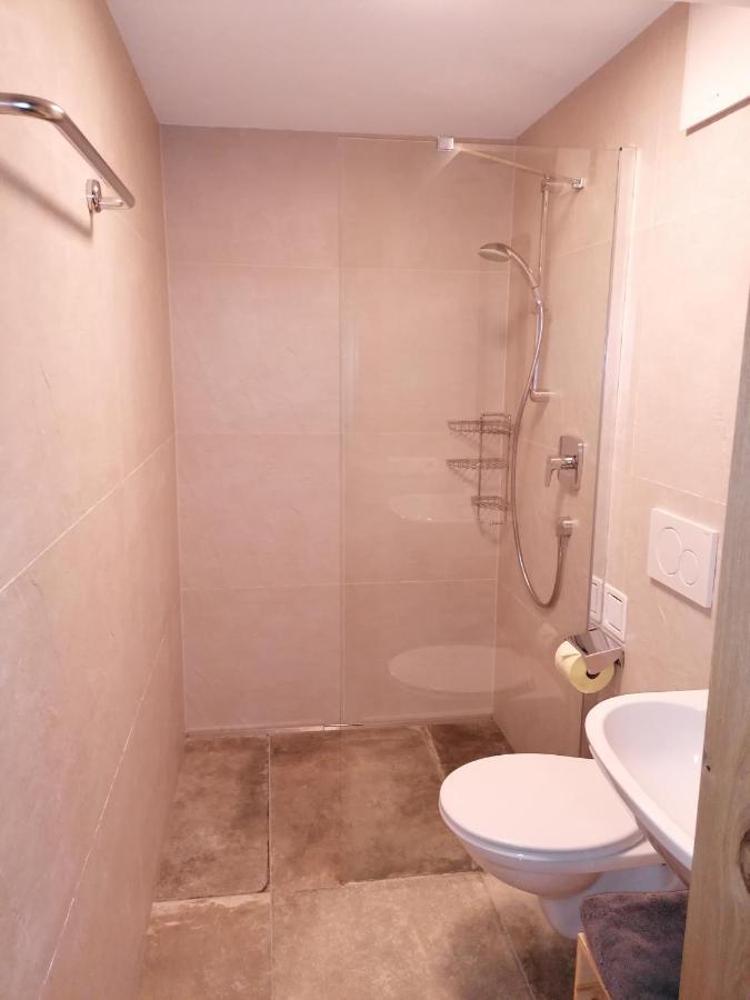 Zachhof Apartment Ellbögen Екстериор снимка